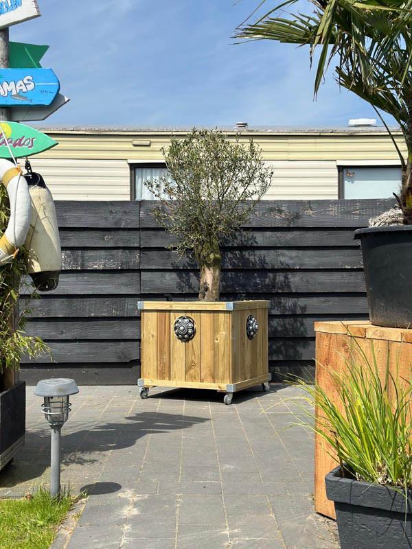 Zeeuwse knop bloembakken projecten ter inspiraties L85 x B85 x H75