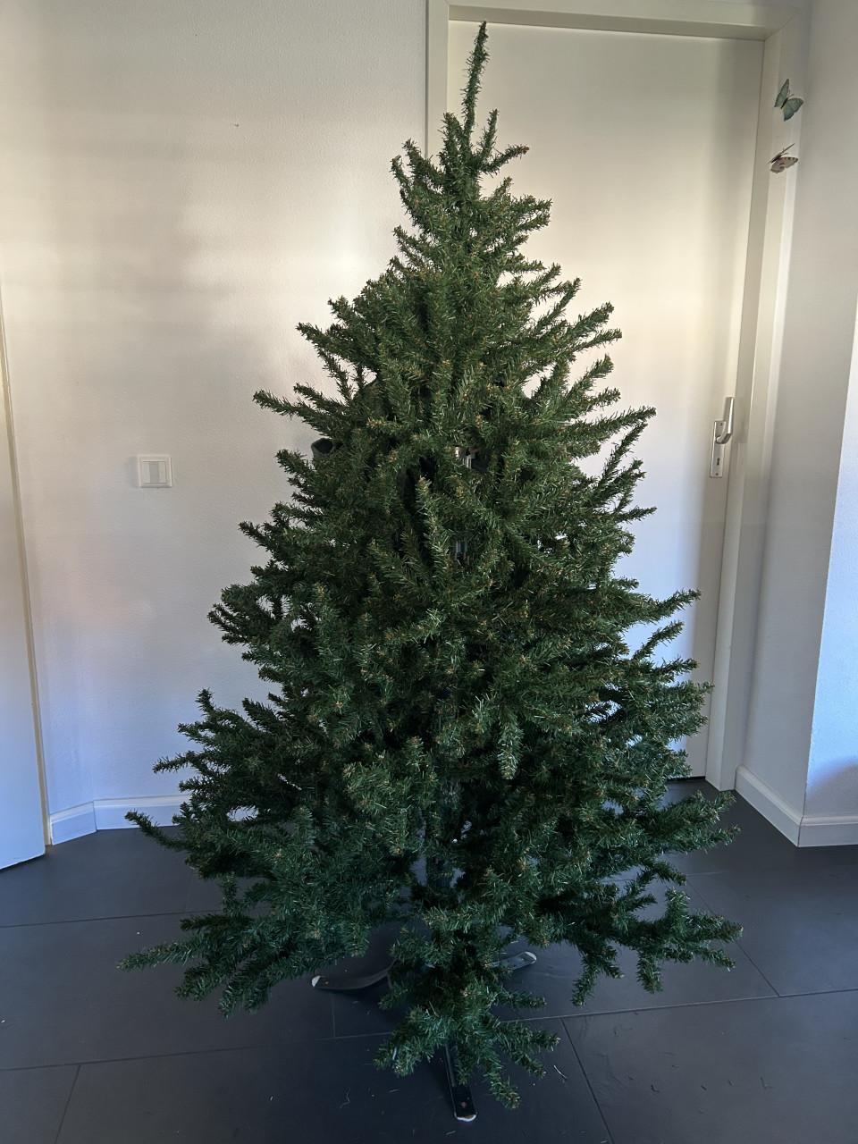 Kerstboom Triumph tree