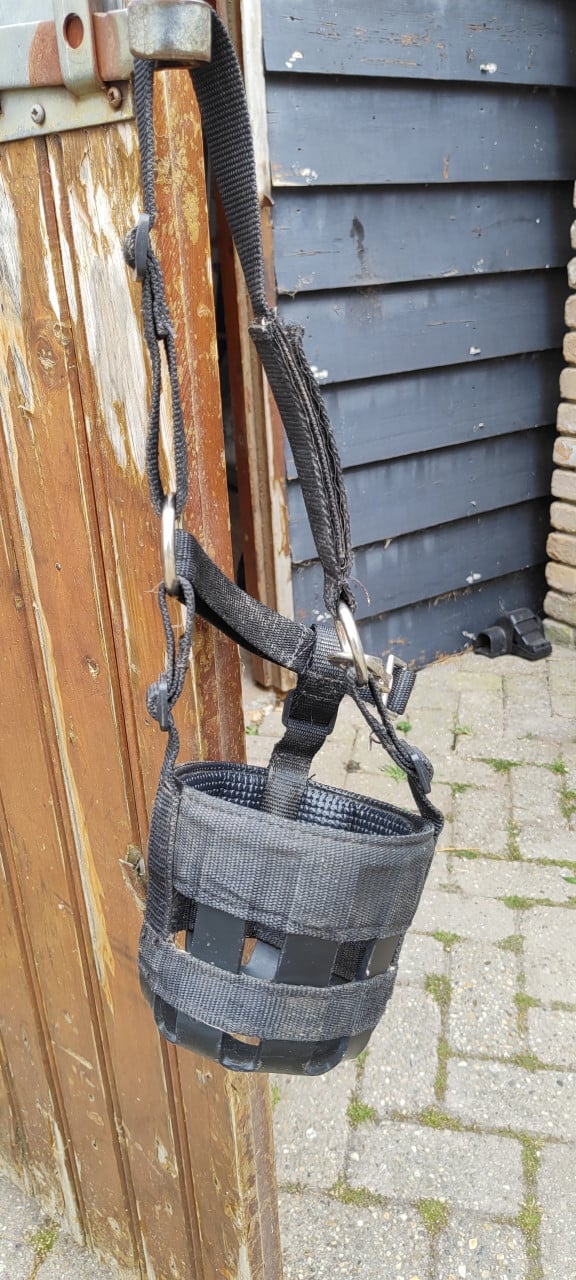 Wegens overlijden shetland pony te koop