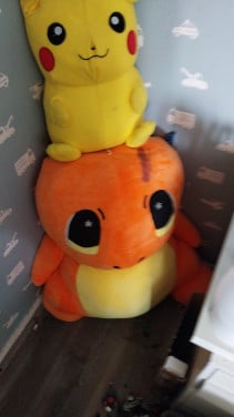 Pokemon knuffels