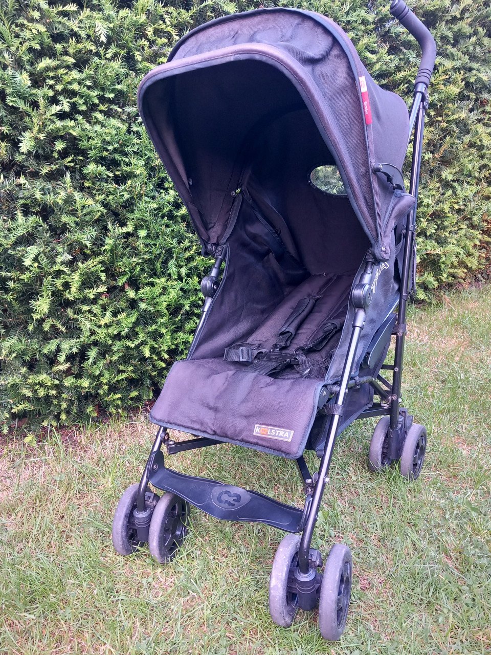 Koelstra Simba buggy