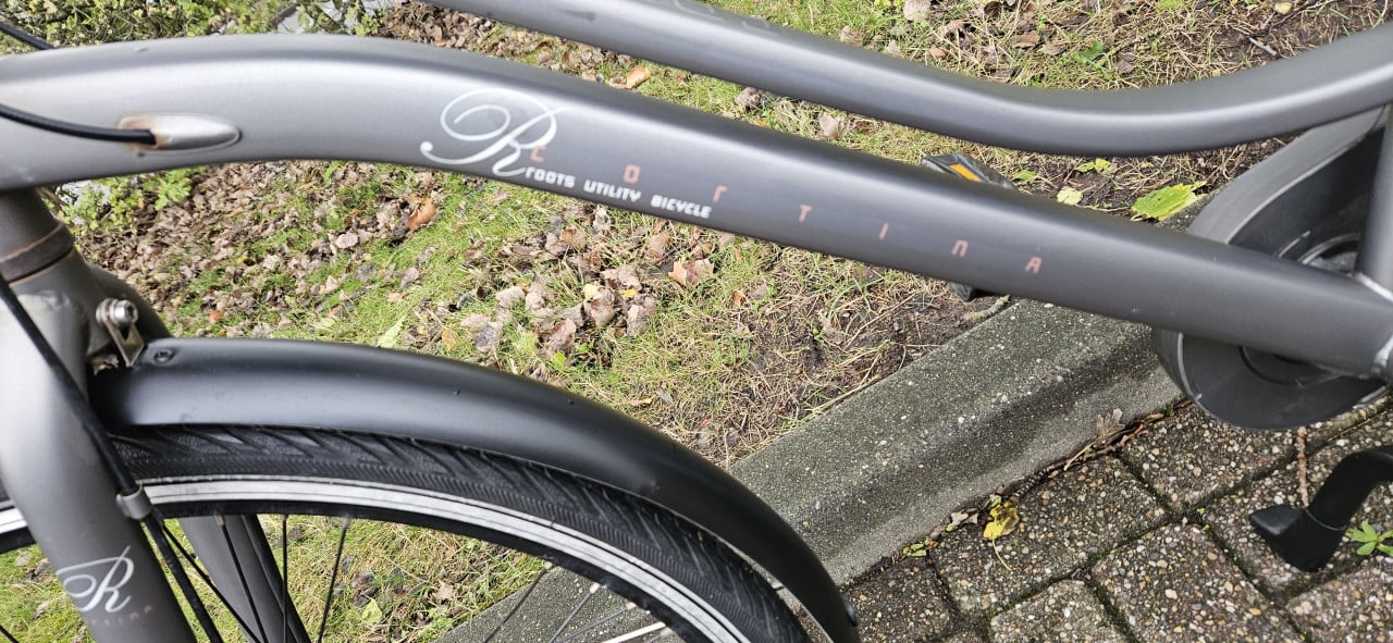 Cortina Roots Damesfiets 55 cm