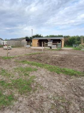 Wei met stal te koop