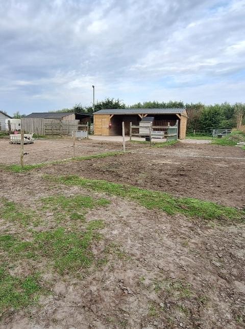 Wei met stal te koop