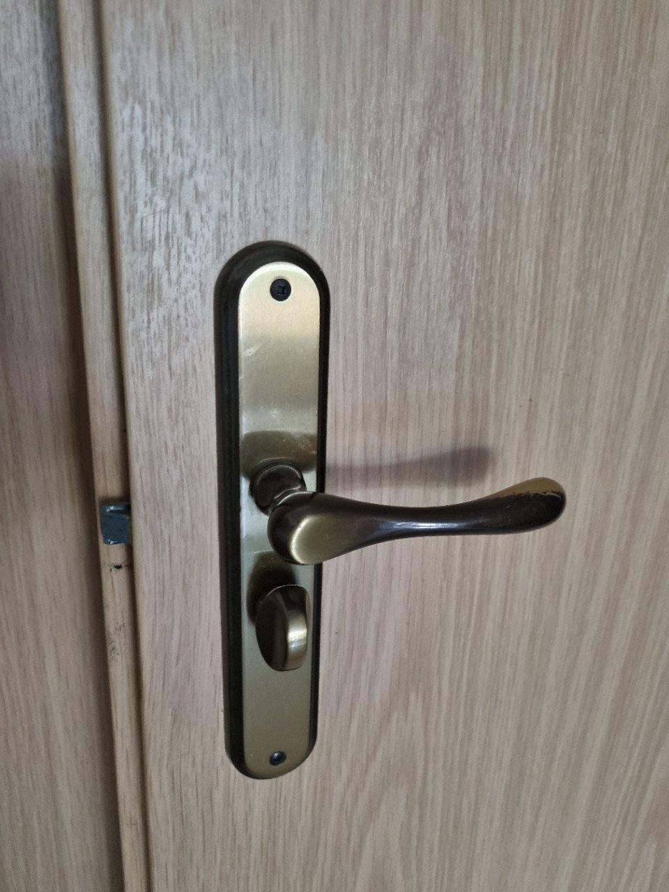 4x luxe houten opdekdeur met 1x glas totaalprijs € 30,-