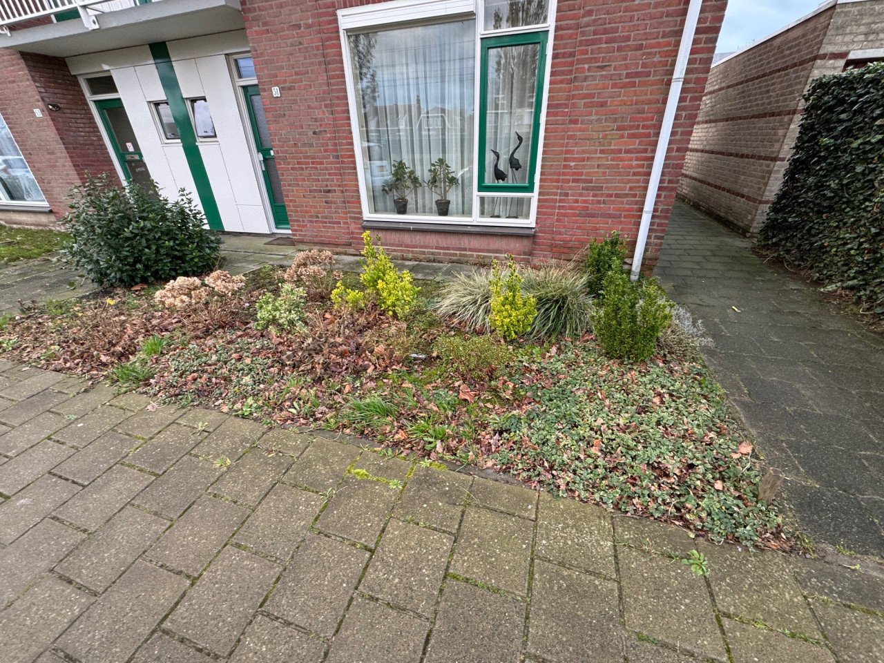 TUINMAN