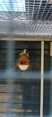 Loodbekjes