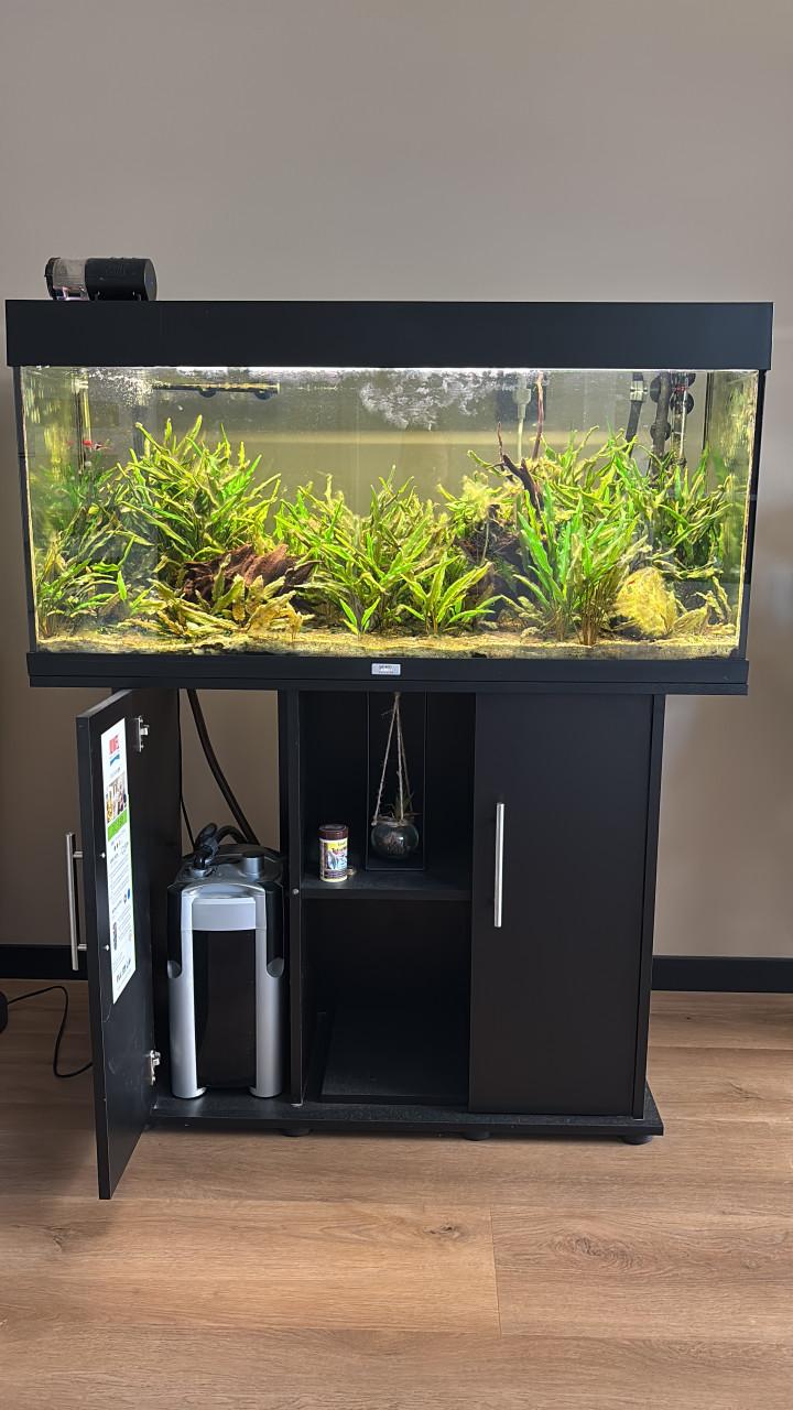 Aquarium met kast