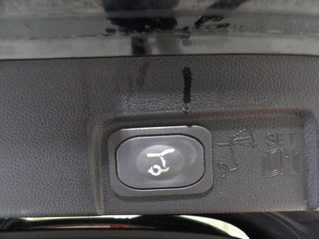 Ford Puma 1.0i ecoboost hybrid 125pk aut st-line vignale