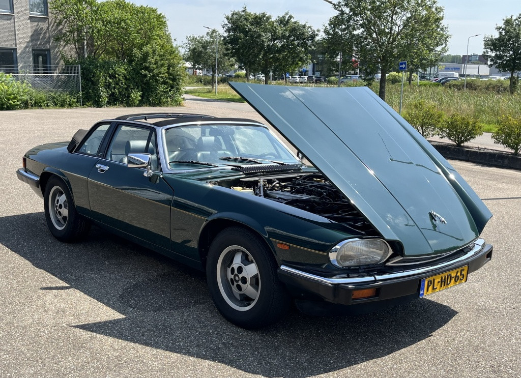Jaguar Xj xjs-c 5.3 v12 targa