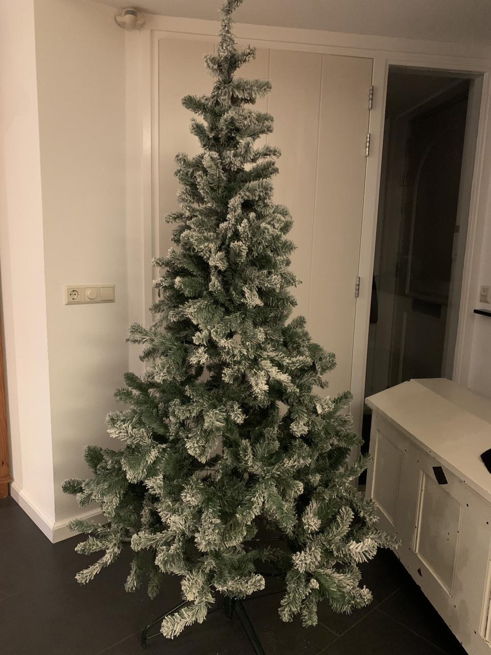 Kerstboom met sneeuw