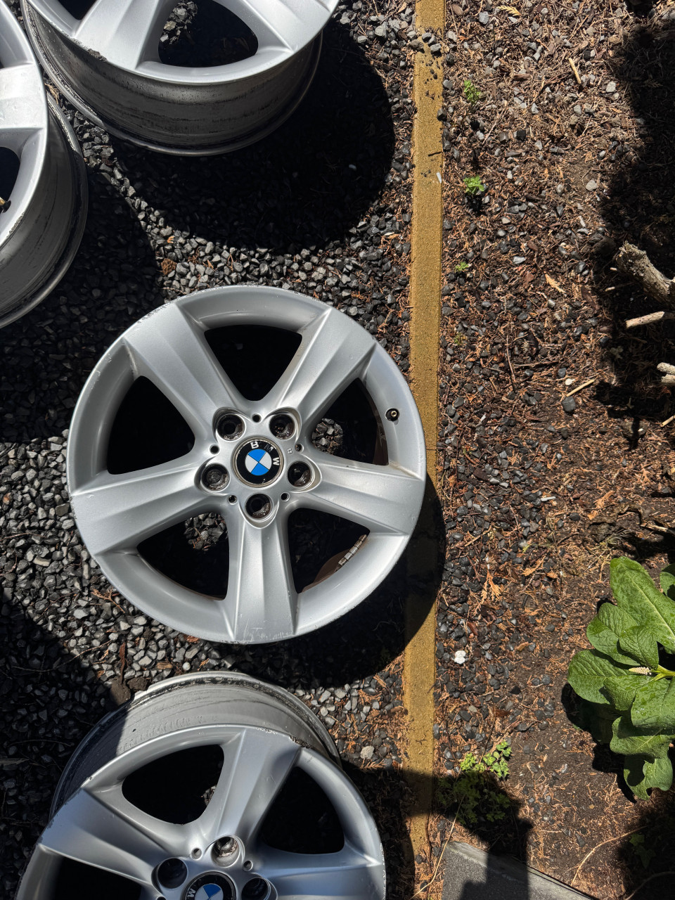 Originele 17 inch BMW velgen styling 119