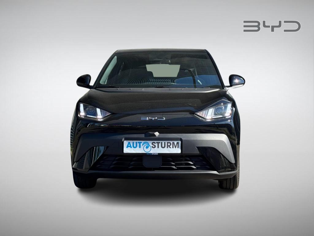 Byd Dolphin Surf boost 43 kwh