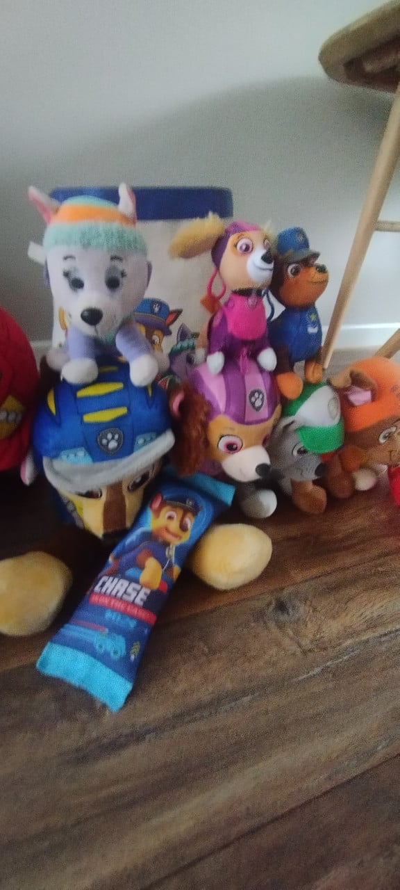 Paw Patrol knuffels