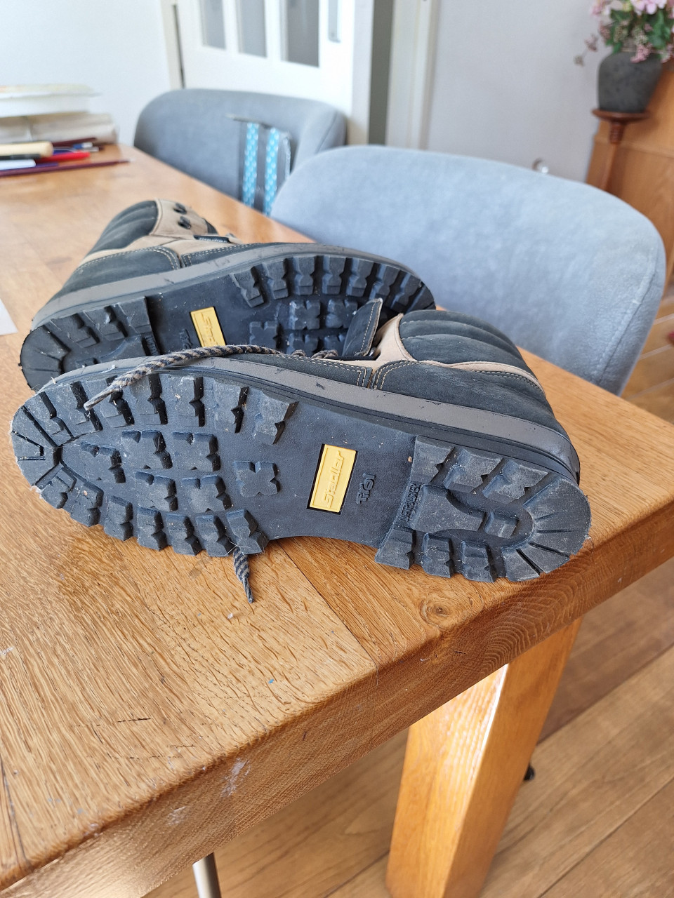 Wandelschoenen