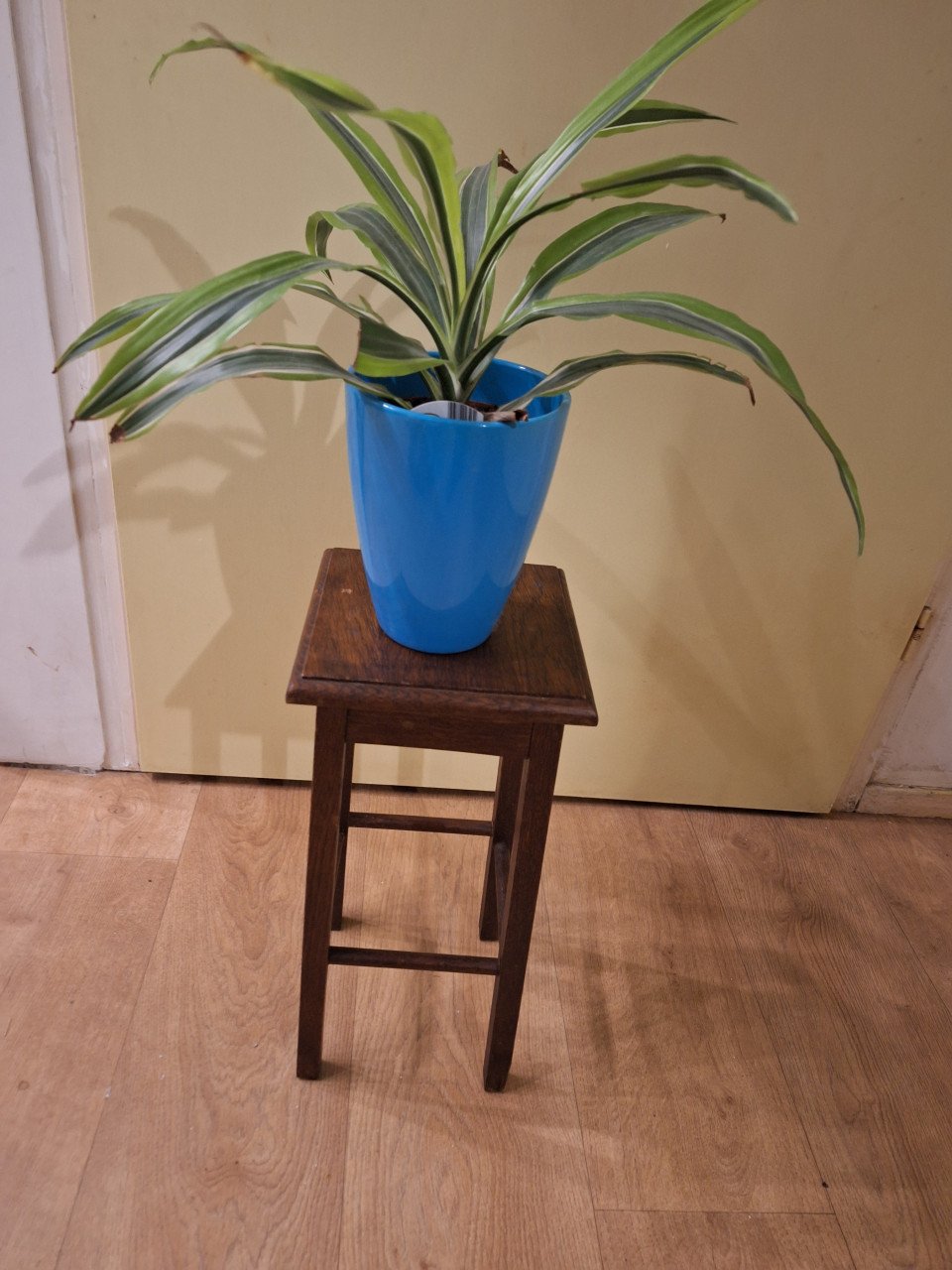 3 plantetafeltjes