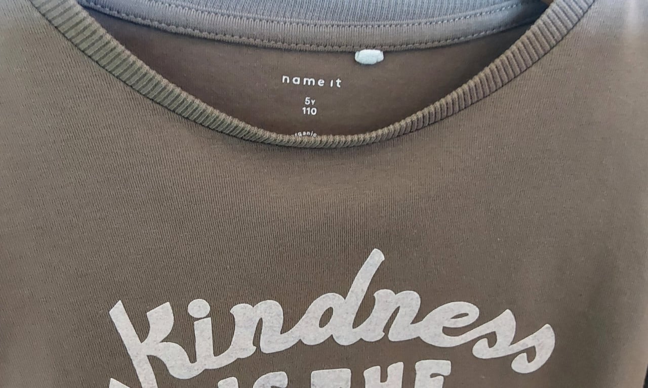 Longsleeve van het merk Name it in maat 110