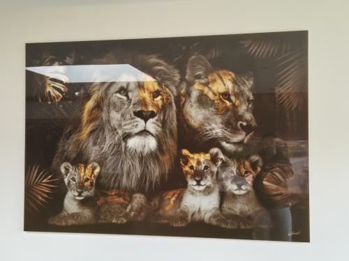 120x80 glas schilderij