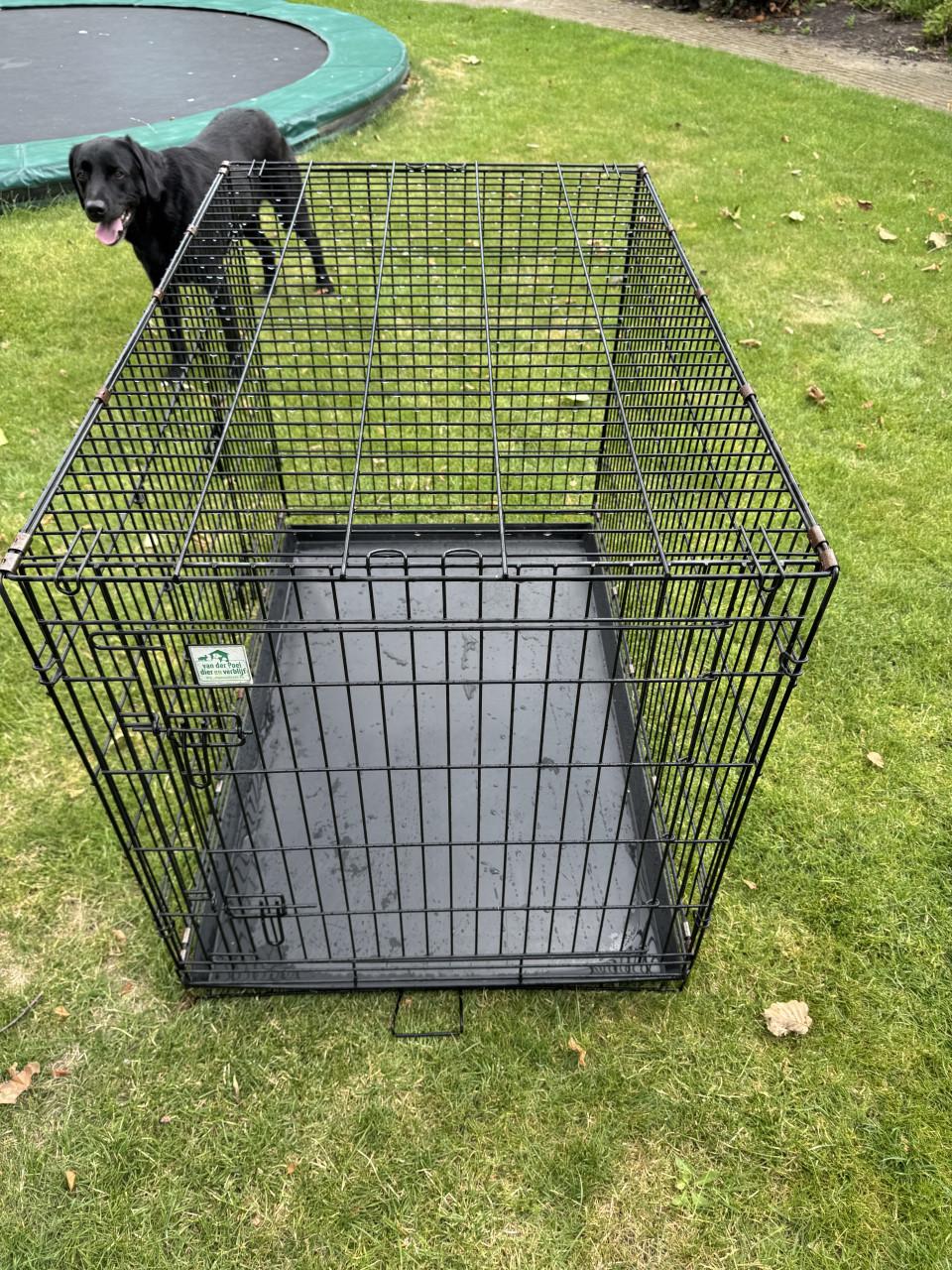 Honden bench