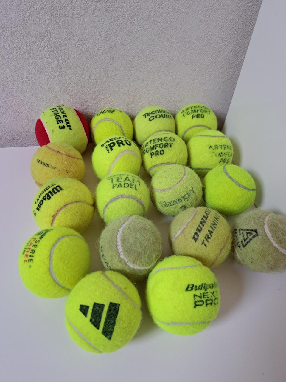 18 tennisballen voor de hond