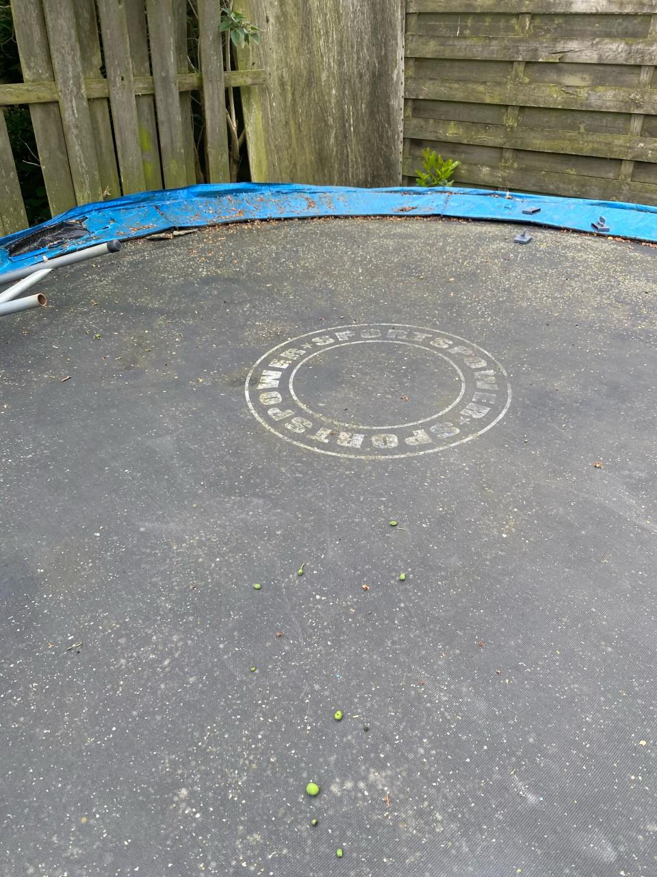 Trampoline groot 366 cm