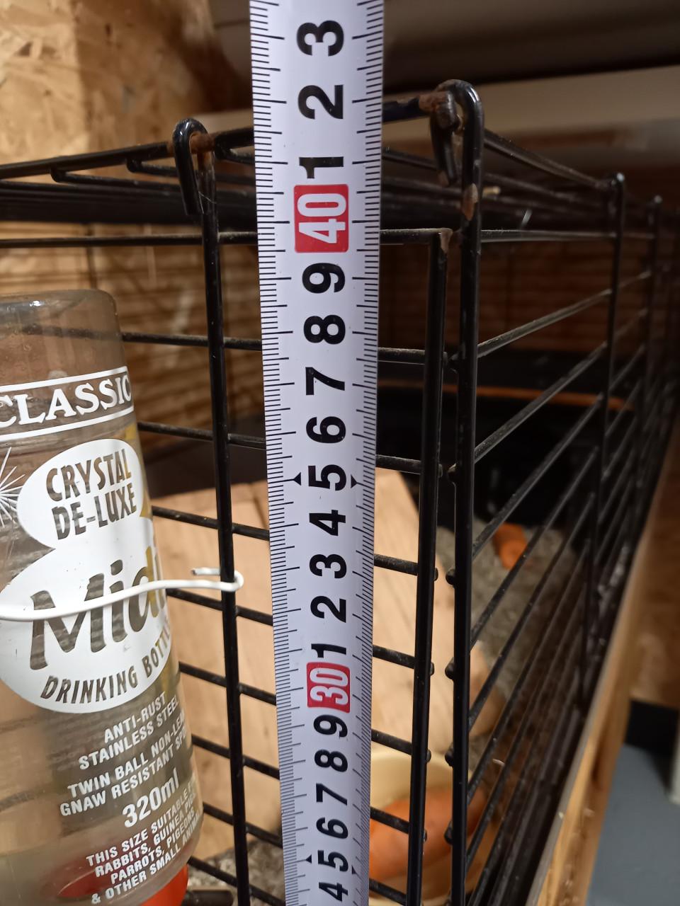 Cavia beren incl. hok