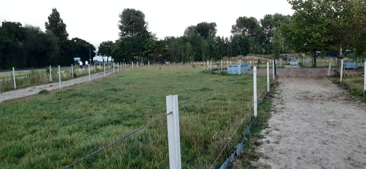 Plekje vrij op paddock paradise Oostkapelle