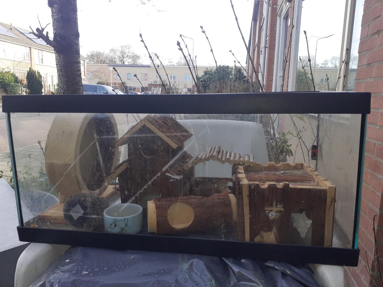 Aquarium ca. 55 liter ingericht voor hamsterkooi