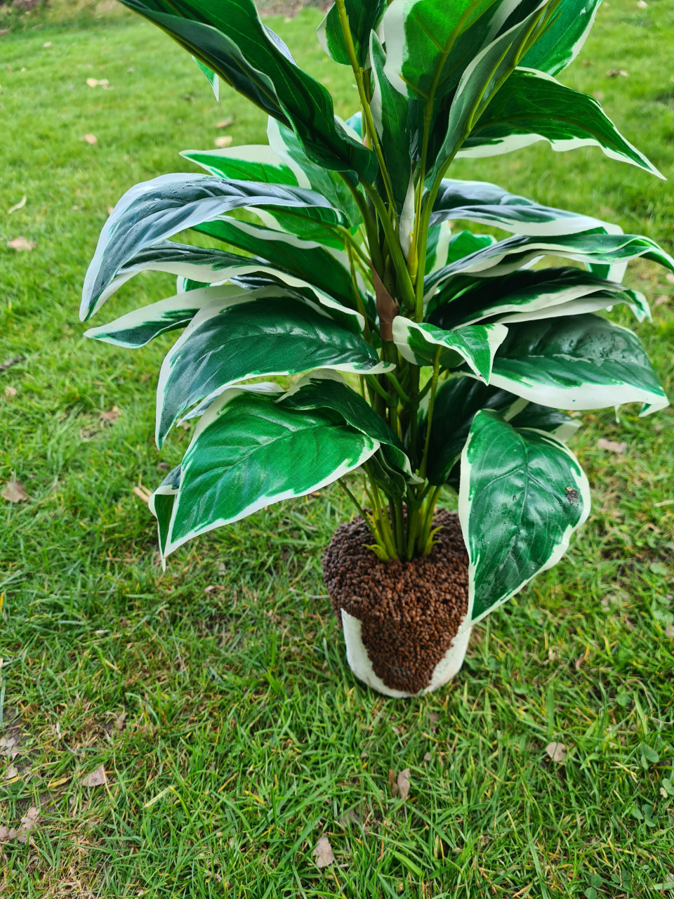 Nep planten