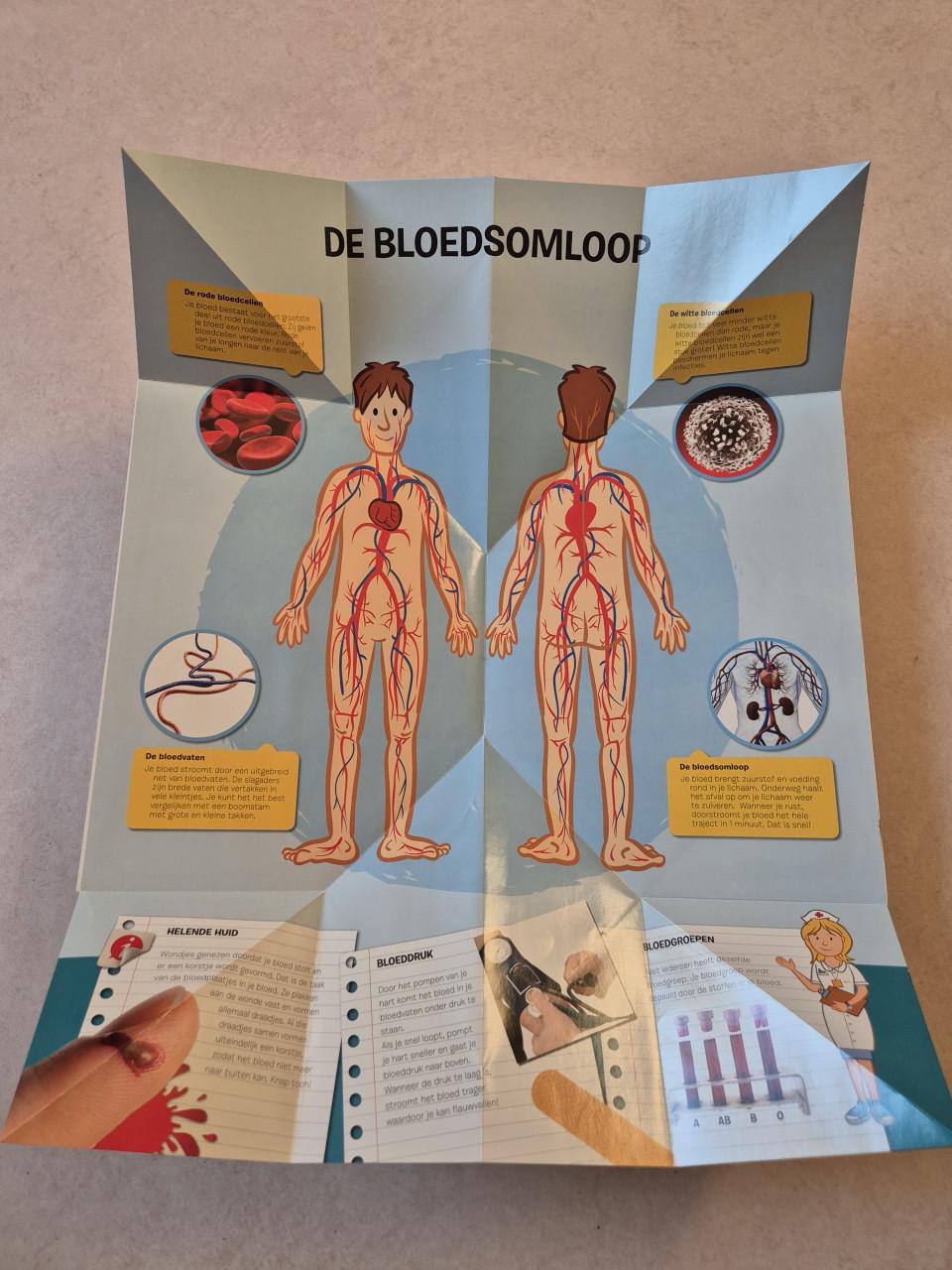 Uitvouwatlas van het menselijk lichaam