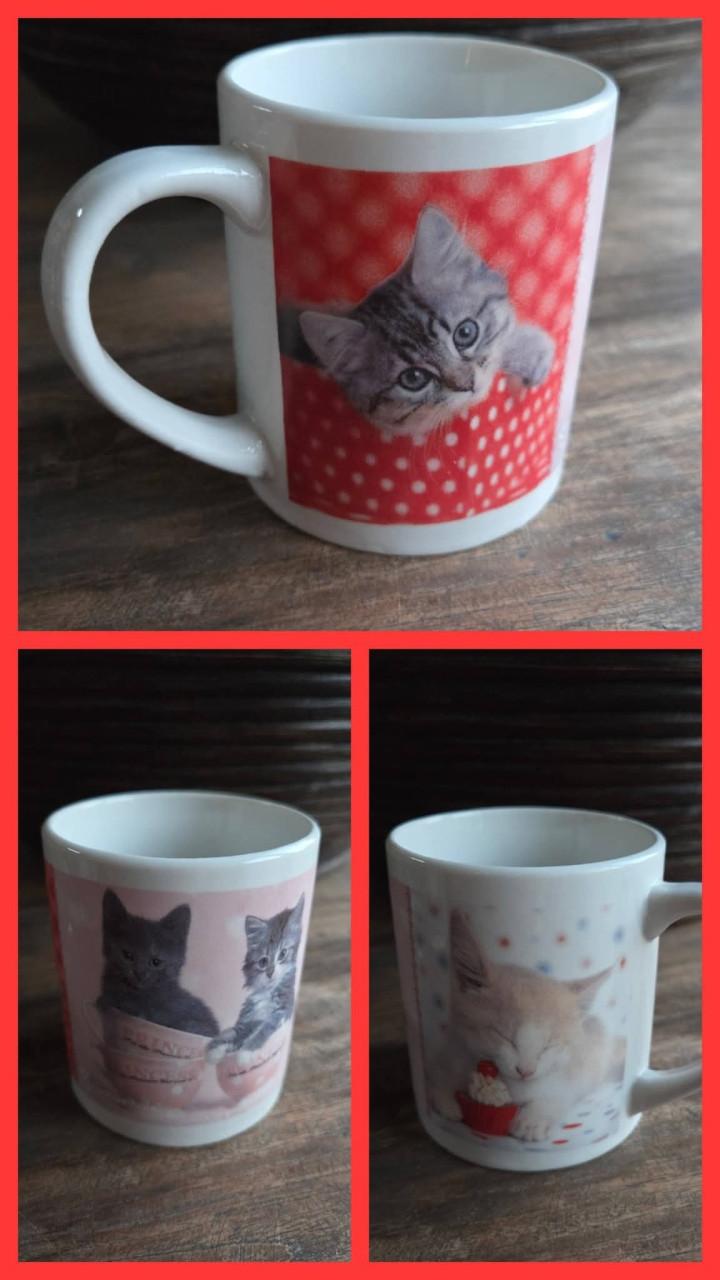 🥰1 katten & 1 honden mokje