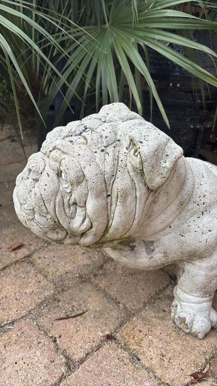 Tuinbeeld wit Engelse bulldog