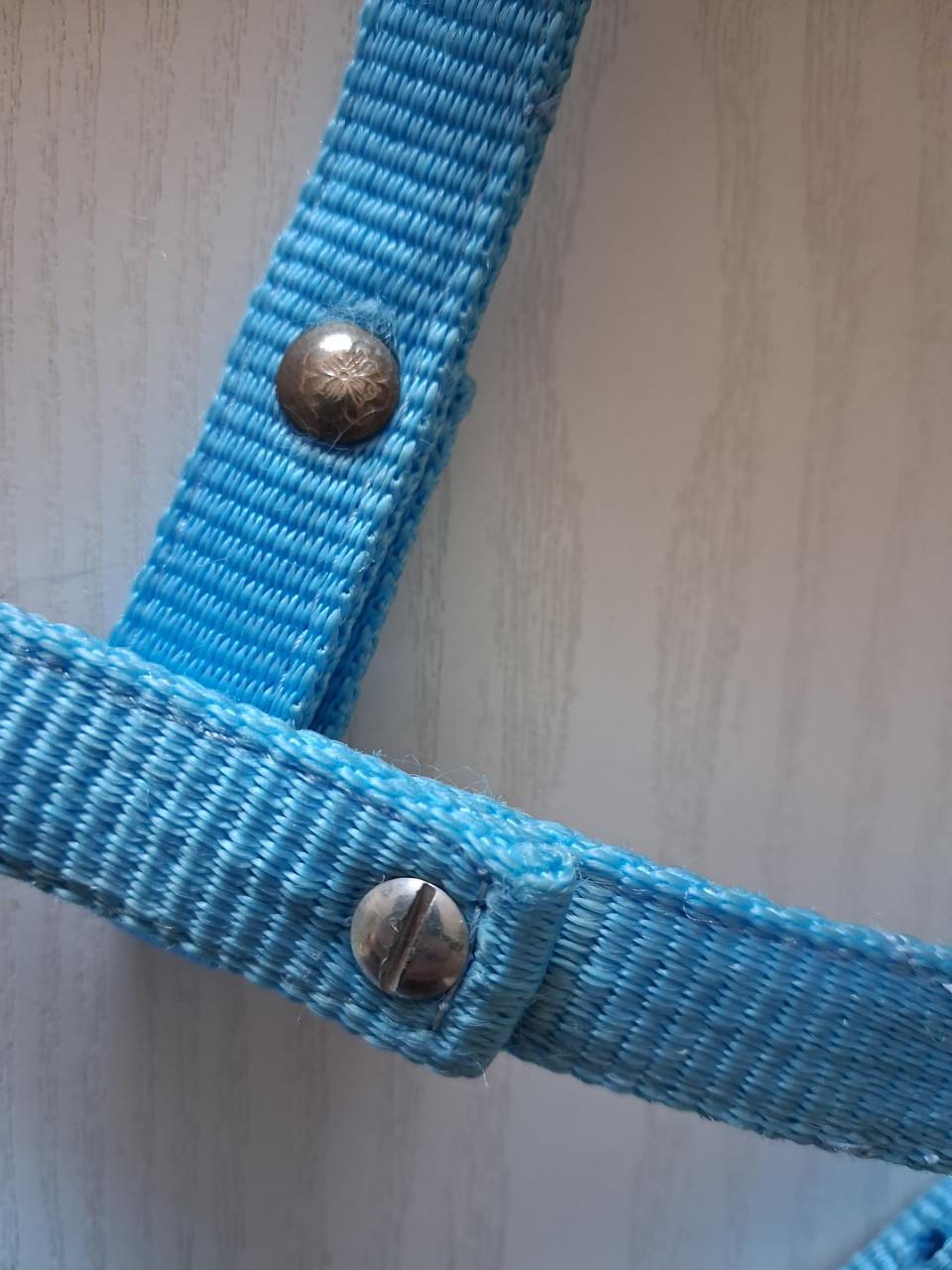 Pony hoofdstel met teugels Nylon western