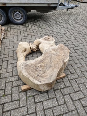Mooie stuk boomstam voor salontafel