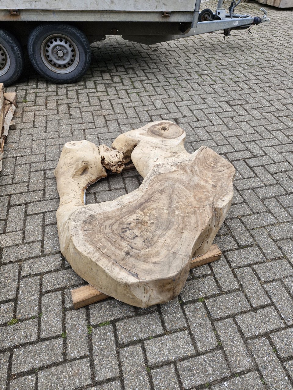 Mooie stuk boomstam voor salontafel