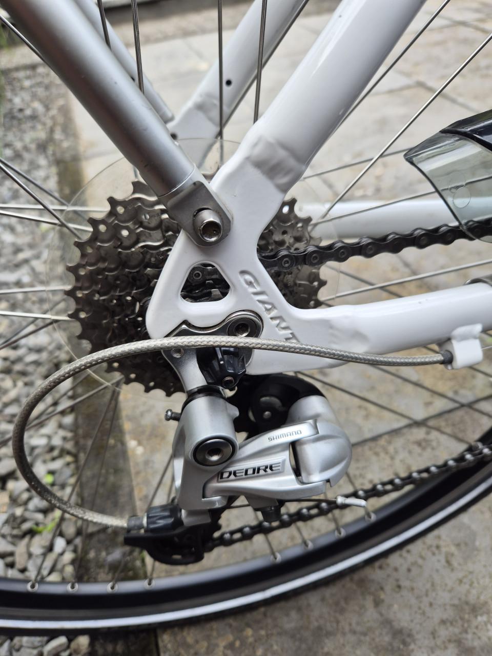 Damesfiets Giant