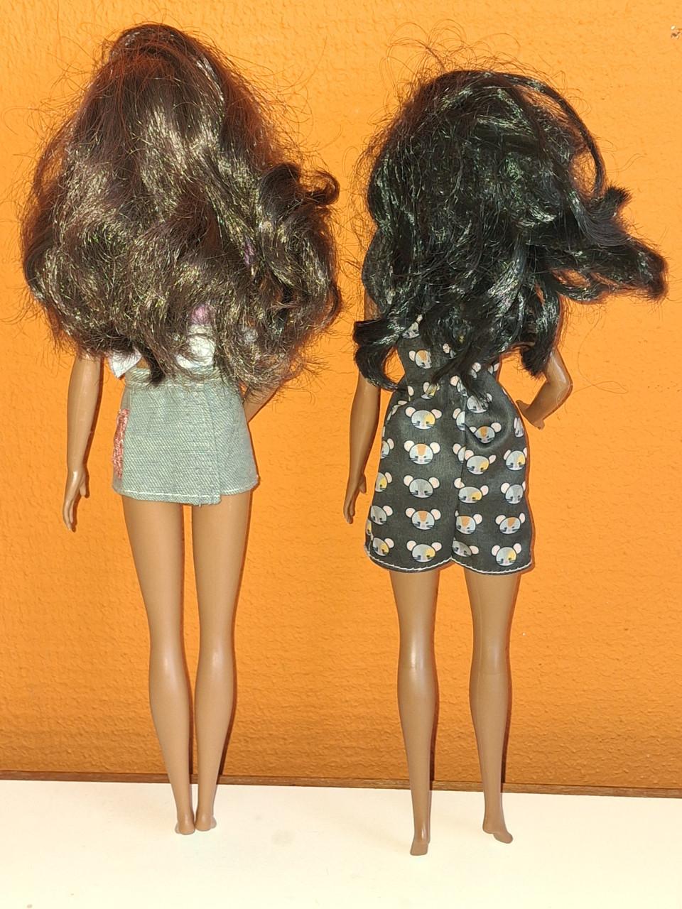 2 donkere Barbies Fashionistas van Mattel