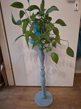 Plantetafeltje