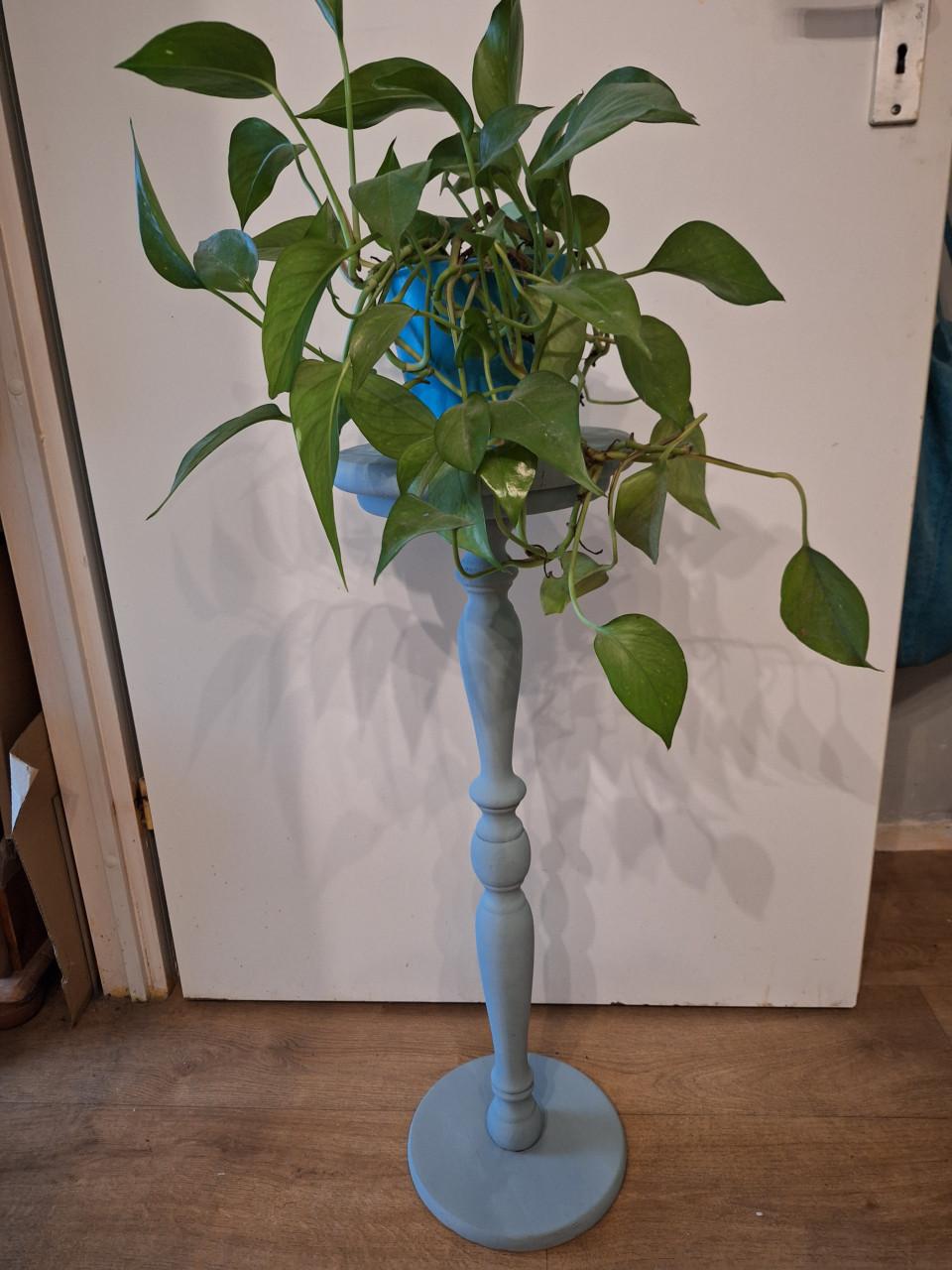 Plantetafeltje