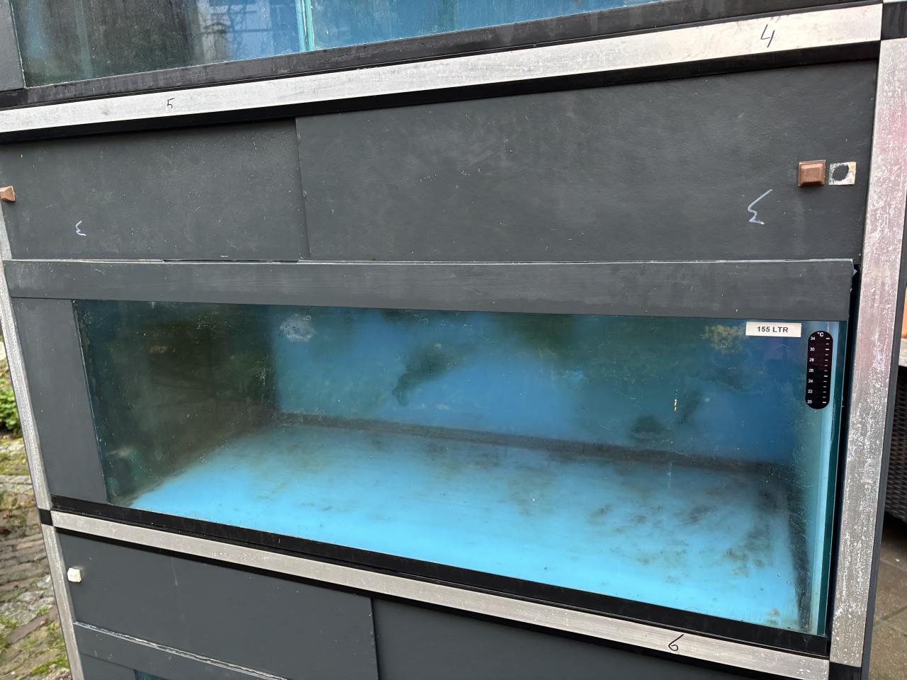 Kweekstelling stellingkast aquarium