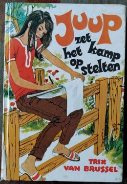 Interessant Boek
