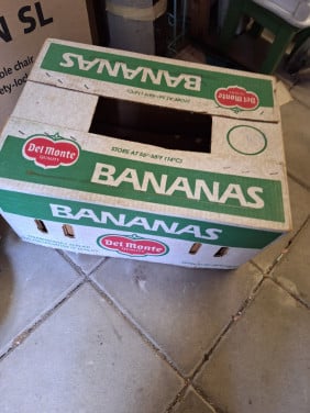 Gratis bananendoos