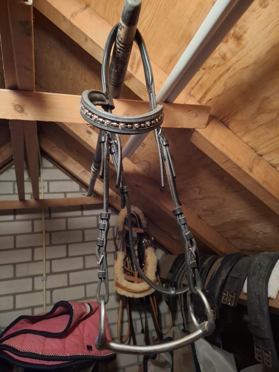 Halsters