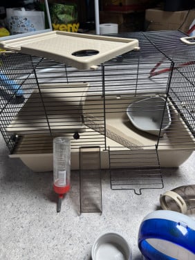 Hamsterkooi