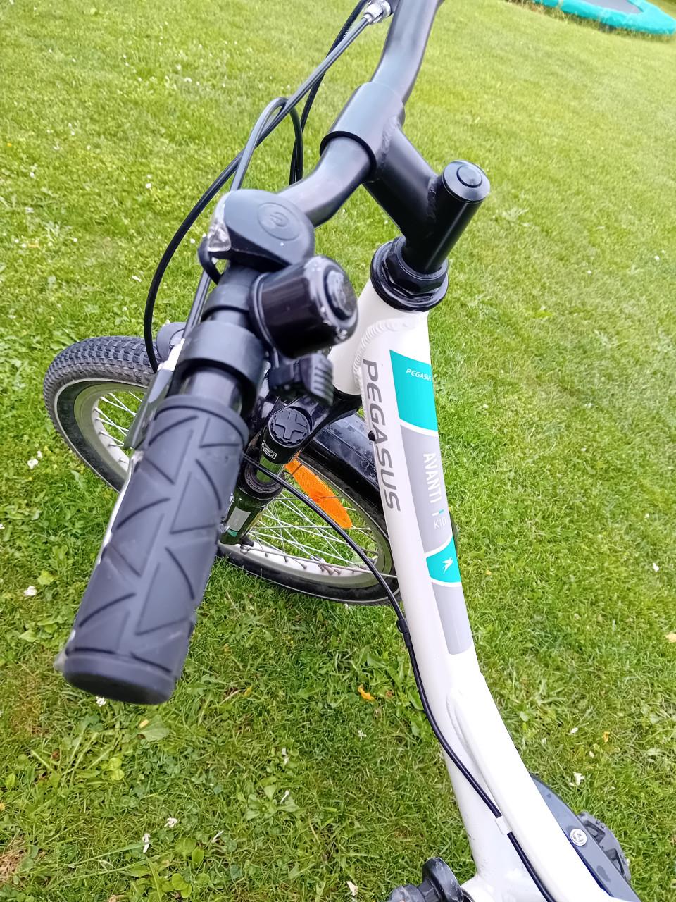 Pegasus kinderfiets 20 inch
