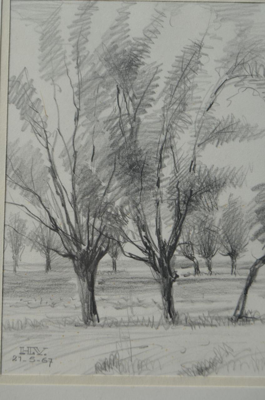 9 x Hendrik Voskuijl (1893 - 1980) potloodtek. bomen (3) o.a. Ommen
