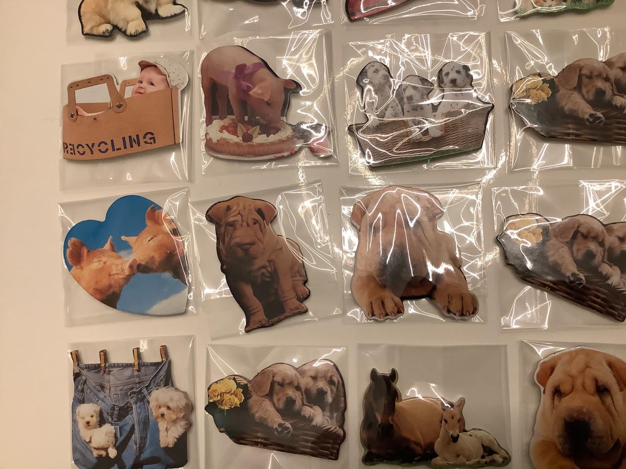Partij super leuke magneetjes. ( partij 22)