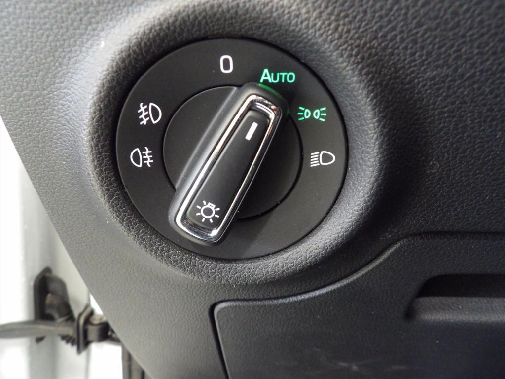 Skoda Kamiq 1.0 tsi greentech 110pk dsg-7 monte carlo