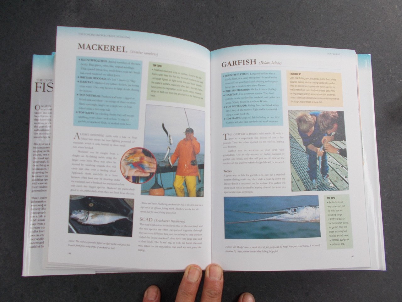 Fishing   zeevissen , zoetwatervissen, vliegvissen . 256 pagina's
