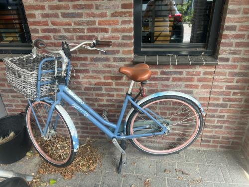 Meidenfiets miss grace 49 cm